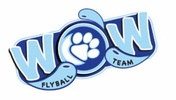 WOW flyball team